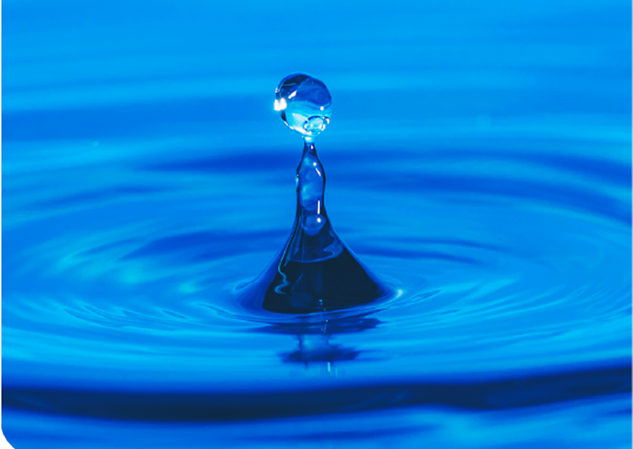 Rigor from the first step.