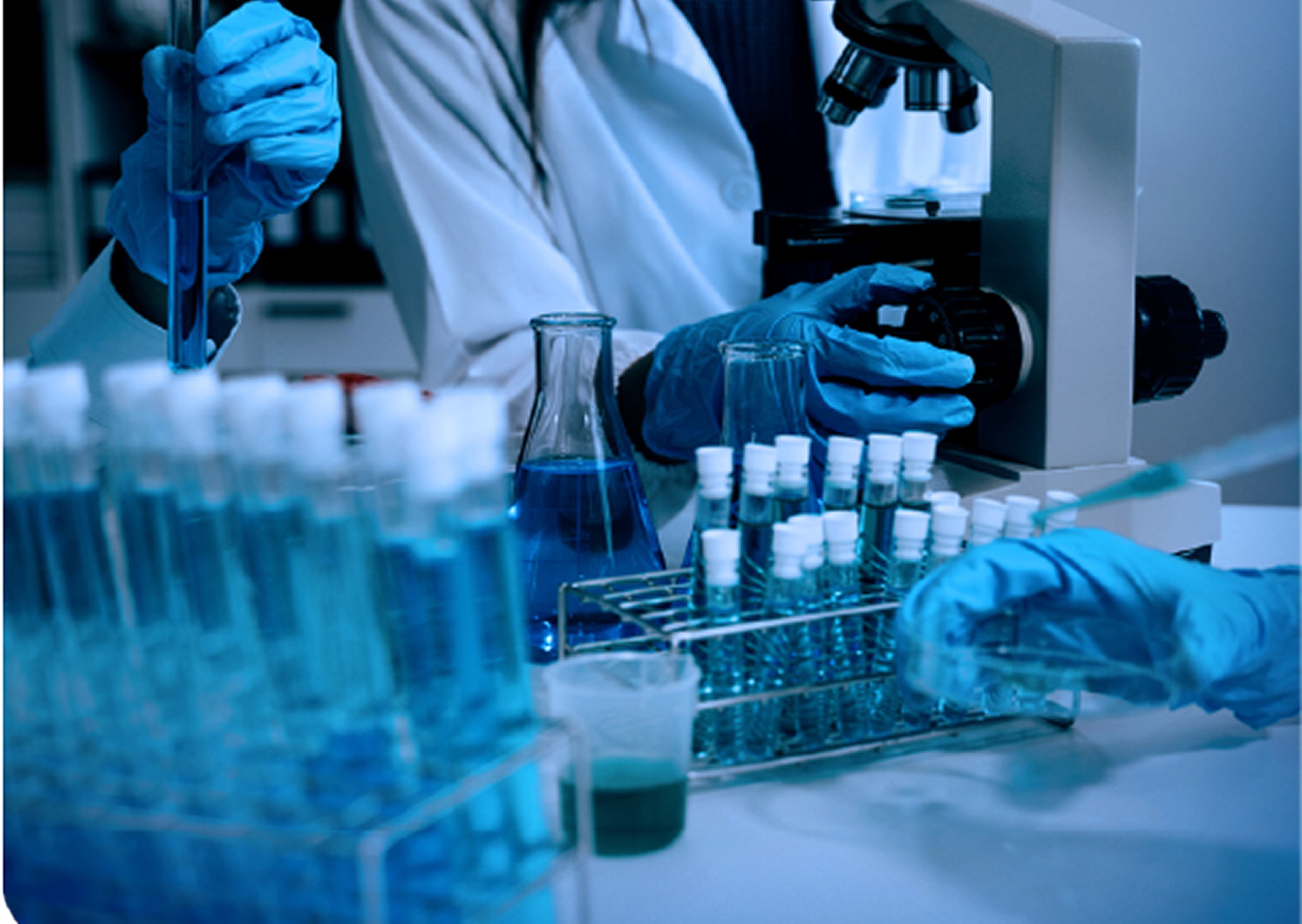 Progress becomes real through execution.